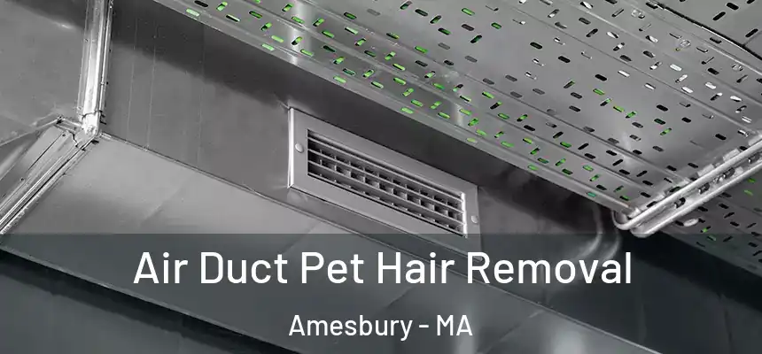 Air Duct Pet Hair Removal Amesbury - MA