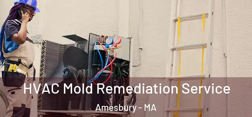  HVAC Mold Remediation Service Amesbury - MA