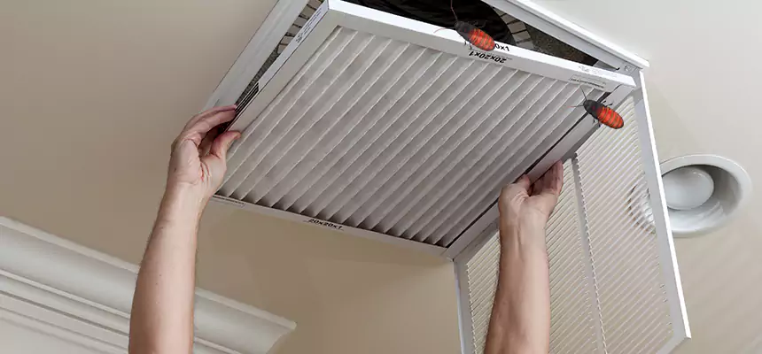Preventive Cockroach-Proofing for Ducts in Amesbury