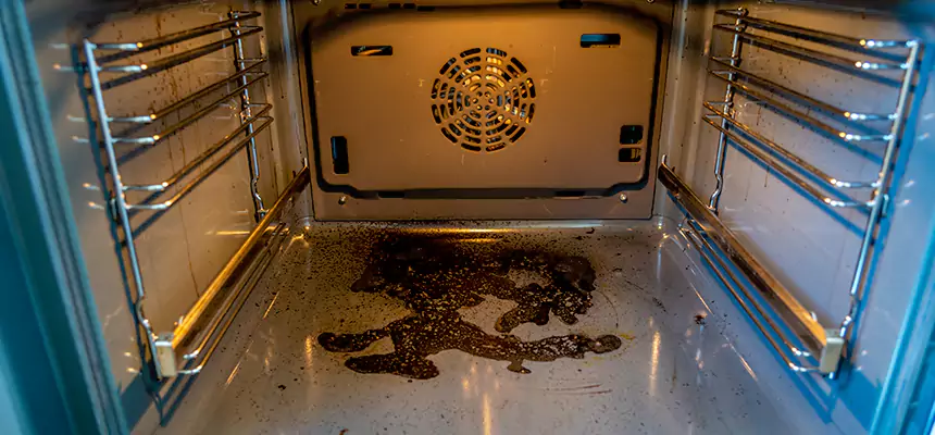 Our Dryer Vent Mold Cleaning Services in Amesbury, MA