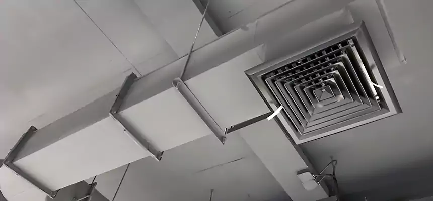 Our Pest Removal From Ducts Services in Amesbury, MA