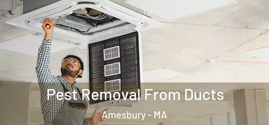  Pest Removal From Ducts Amesbury - MA