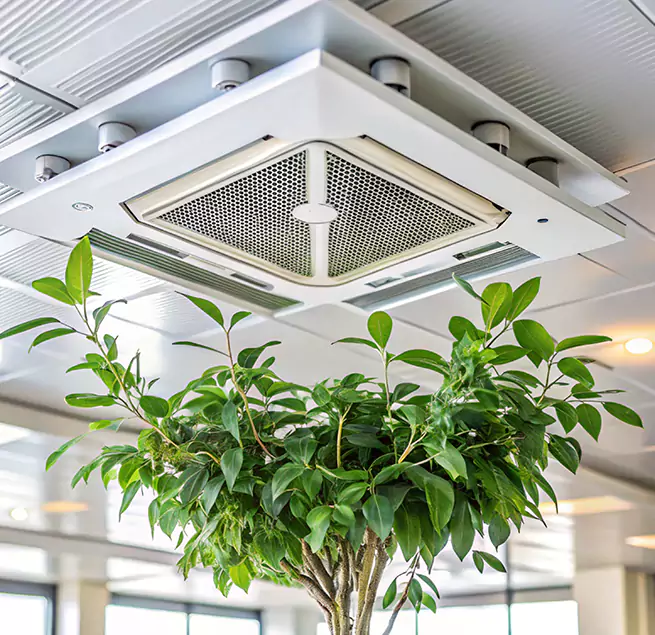 Why Homeowners & Businesses Trust Us in Amesbury, MA