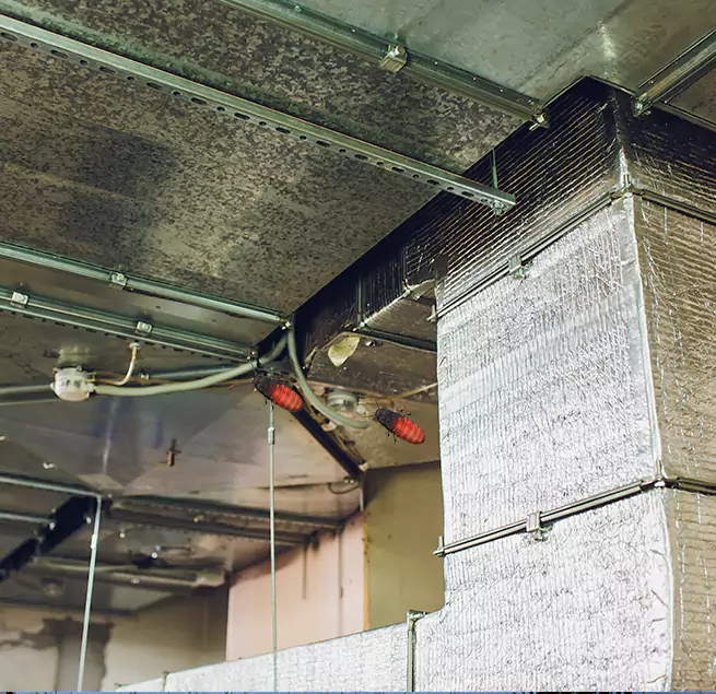 Why Homeowners & Businesses Trust Us Amesbury, MA?